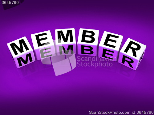 Image of Member blocks Show Subscription Registration and Membership