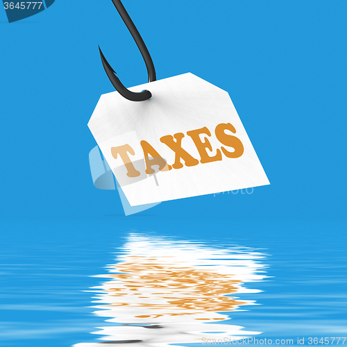 Image of Taxes On Hook Displays Taxation Or Legal Fees