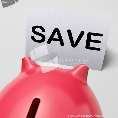 Image of Save Piggy Bank Shows Product Discounts And Bargains