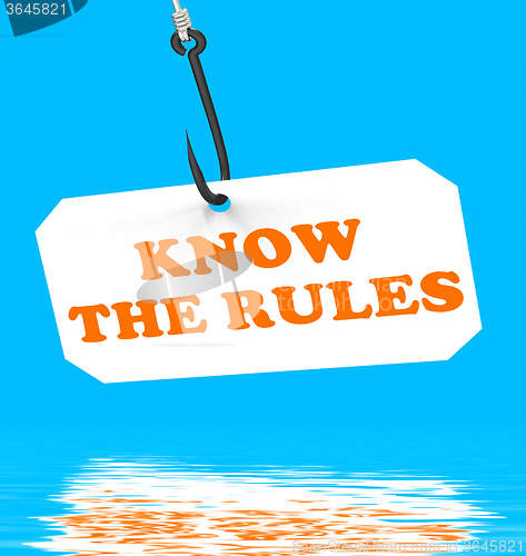 Image of Know The Rules On Hook Displays Policy Protocol Or Law Regulatio