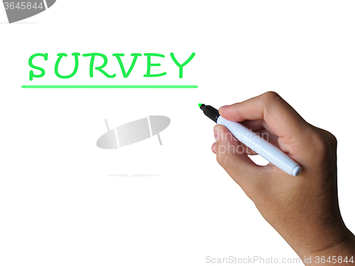Image of Survey Word Means Collecting Information From Sample
