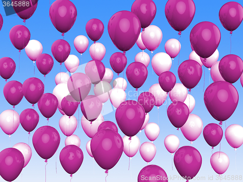 Image of Floating Purple And White Balloons Show Girly Birthday Party