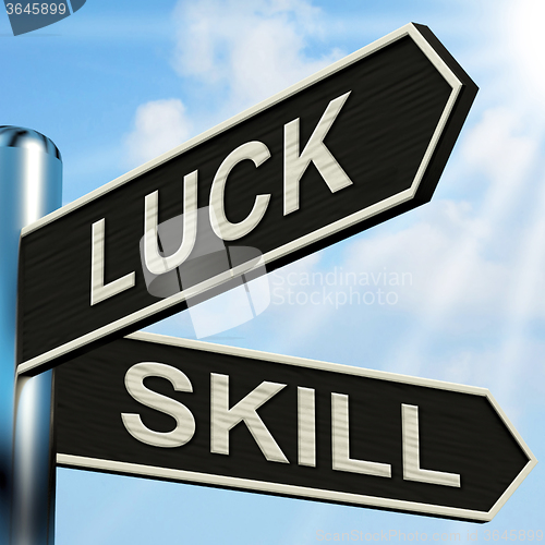 Image of Luck Skill Signpost Shows Expert Or Fortunate