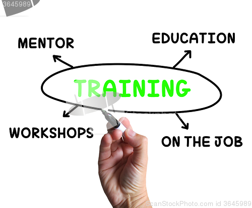 Image of Training Diagram Shows Mentorship Education And Job Preparation