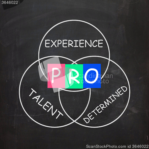 Image of PRO On Blackboard Means Great Experience And Excellence