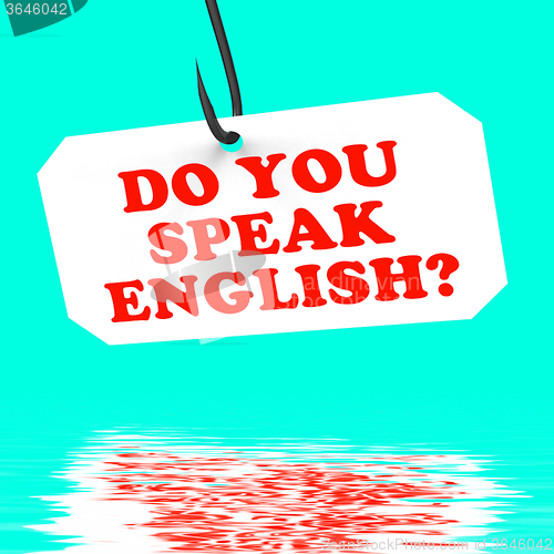 Image of Do You Speak English? On Hook Displays Foreign Language Learning
