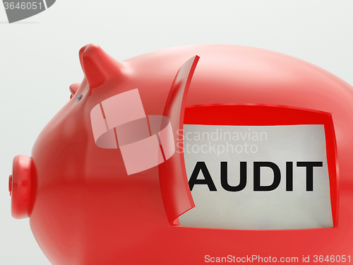 Image of Audit Piggy Bank Means Inspection And Validation