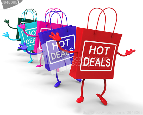 Image of Hot Deals Bags Represent Shopping  Discounts and Bargains