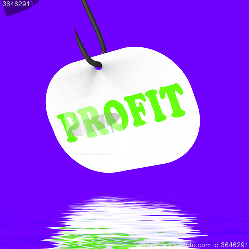 Image of Profit On Hook Displays Financial Incomes And Earnings