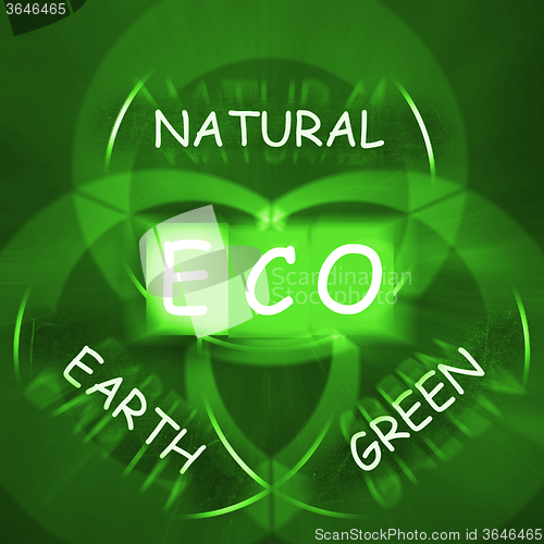 Image of ECO On Blackboard Displays Environmental Care Or Eco-Friendly Na