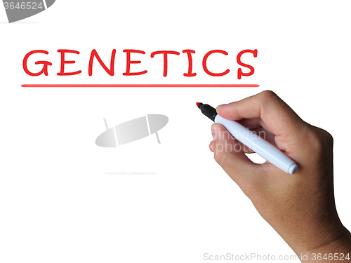 Image of Genetics Word Shows Genetic Makeup And Anatomy