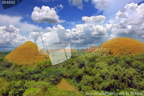 Image of Chocolate Hills natural landmark