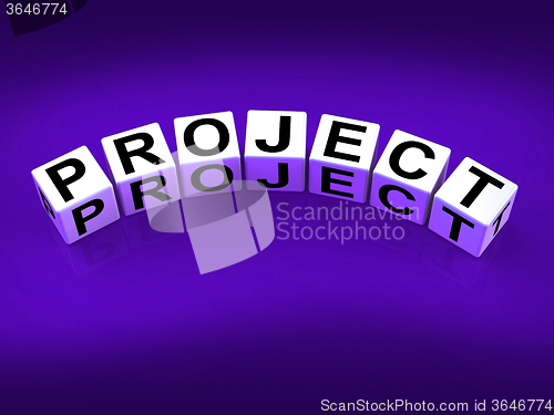 Image of Project Blocks Show Scheme Venture and Task