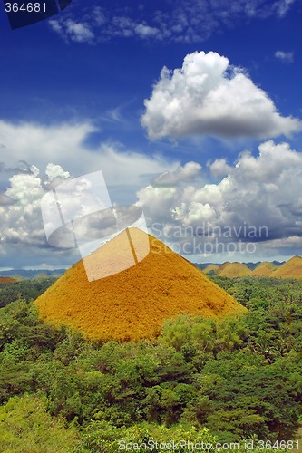 Image of One Bohol Chocolate Hill