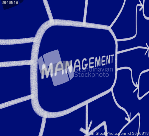 Image of Management Diagram Shows Authority Directors And Board