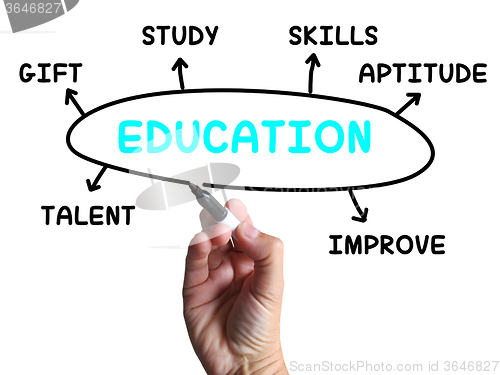 Image of Education Diagram Shows Skills Study And Learning