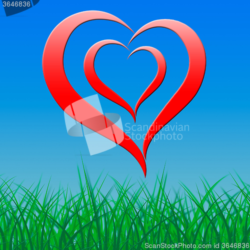 Image of Heart On Background Shows Romance Love And Passion