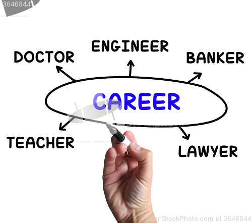 Image of Career Diagram Means Profession And Field Of Work