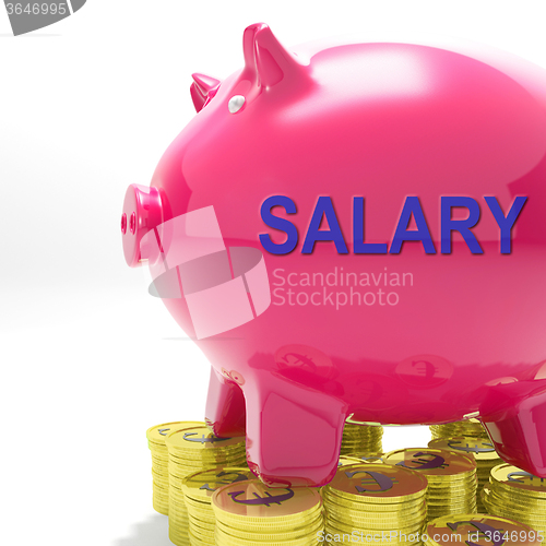 Image of Salary Piggy Bank Means Payroll And Earnings