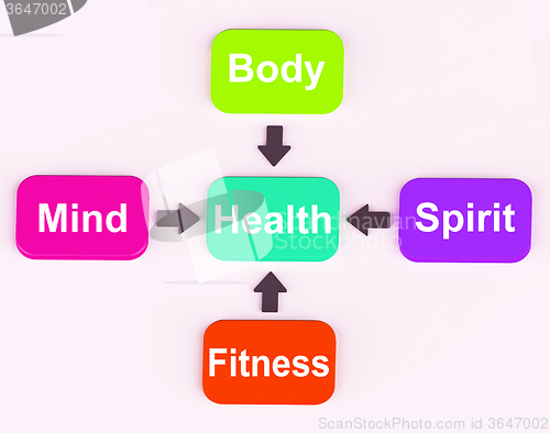 Image of Health Diagram Shows Mental Spiritual Physical And Fitness Wellb