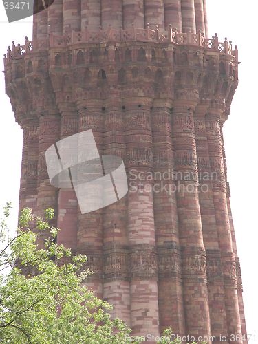 Image of Close up of Qutub with tree