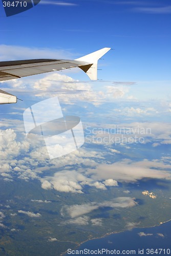 Image of Aerial view of Bohol coast