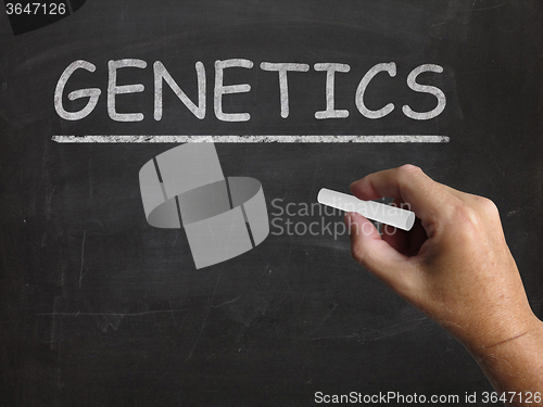 Image of Genetics Blackboard Means Genes DNA And Heredity