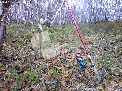 Image of catching pike on the forest river