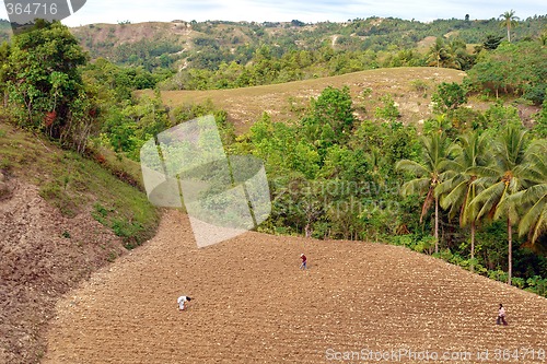 Image of Asian farmers on mountain field