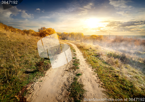 Image of Country road in fog