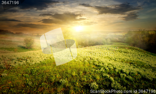 Image of Countryside in fog