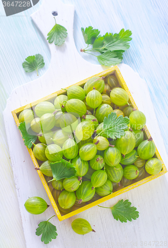 Image of gooseberry