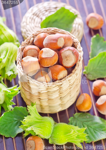 Image of hazelnuts