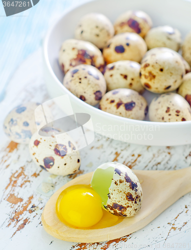 Image of quail eggs