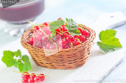 Image of red currant