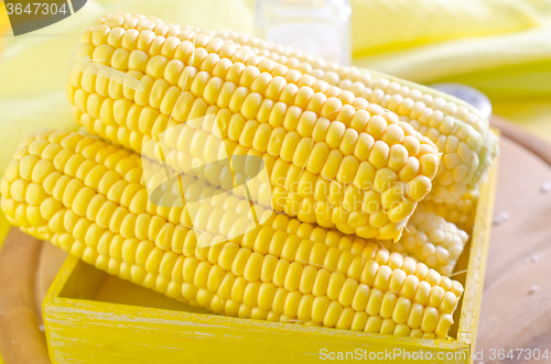 Image of sweet corn