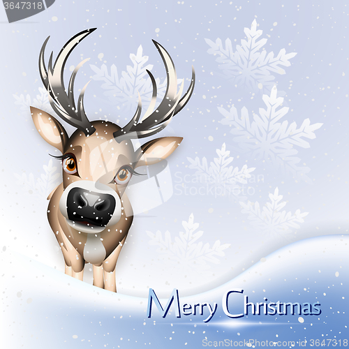 Image of Christmas card with cute reindeer