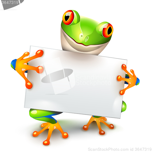 Image of Little tree frog message