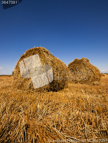 Image of stack of straw in the field  