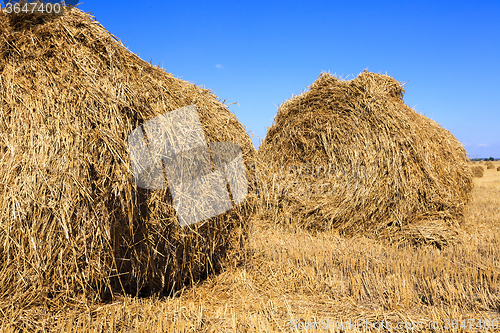 Image of stack of straw in the field 