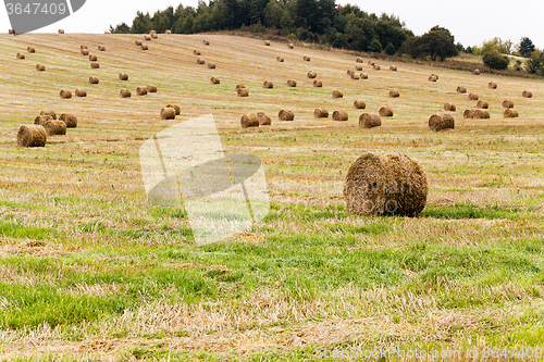 Image of stack of straw in the field  