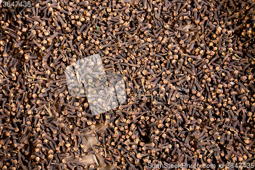 Image of freshly dryed clove spice