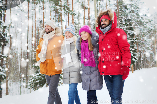 Image of group of smiling men and women in winter forest