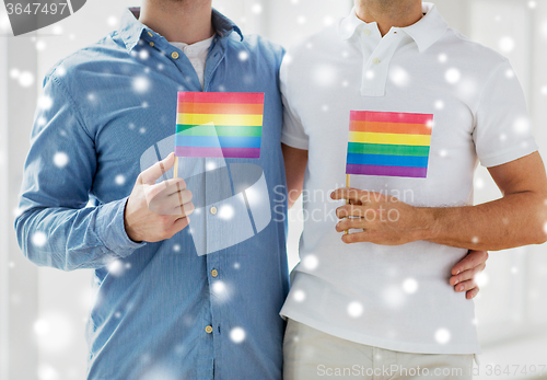 Image of close up of male gay couple holding rainbow flags