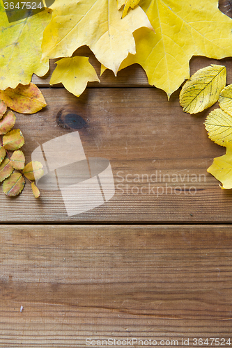 Image of close up of many different fallen autumn leaves