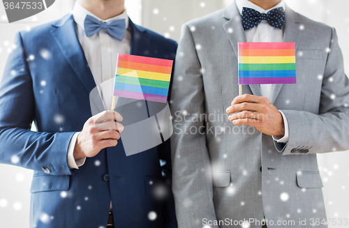 Image of close up of male gay couple holding rainbow flags