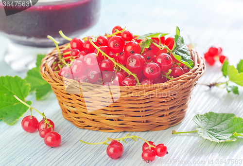 Image of red currant