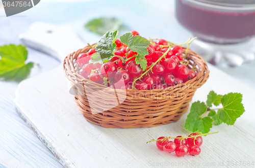 Image of red currant