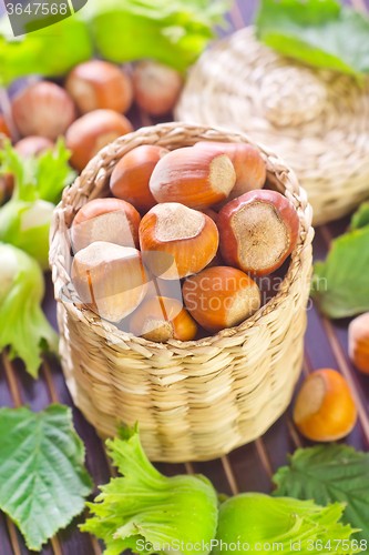 Image of hazelnuts