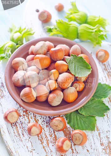 Image of hazelnuts